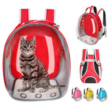 Cat Back Pack