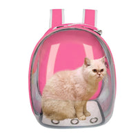 Cat Back Pack